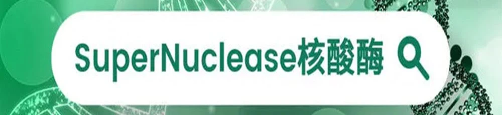 Nuclease05