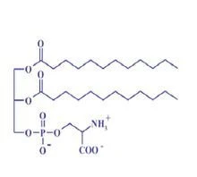 Phosphatidylserine raw materials