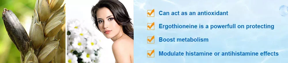 ergothioneineinfo