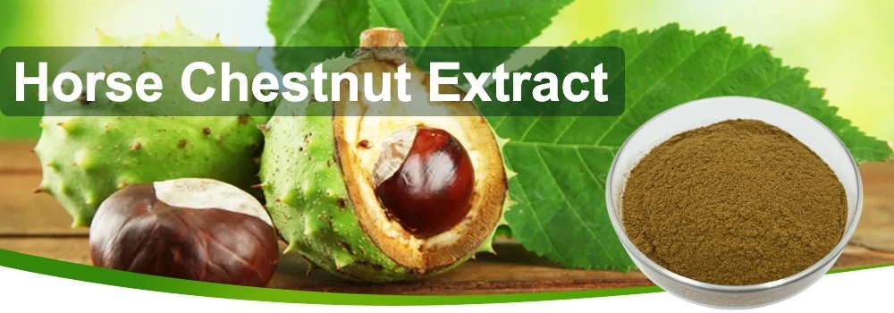 Horse Chestnut powder Horse Chestnut powder