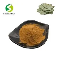 Экстракт листьев лотоса в порошке